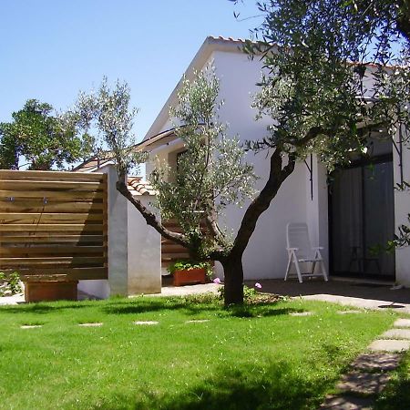 Podere Belvedere Cecina Чечина Екстер'єр фото