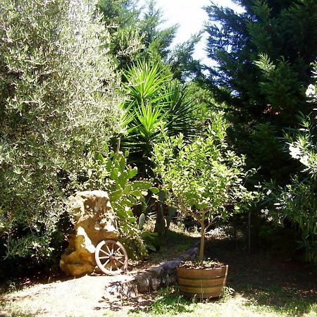 Podere Belvedere Cecina Чечина Екстер'єр фото