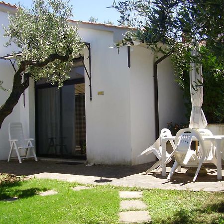 Podere Belvedere Cecina Чечина Екстер'єр фото