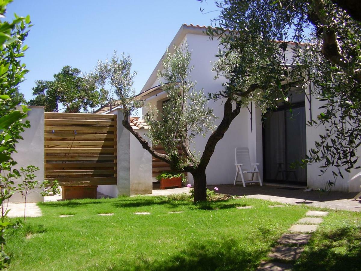 Podere Belvedere Cecina Чечина Екстер'єр фото