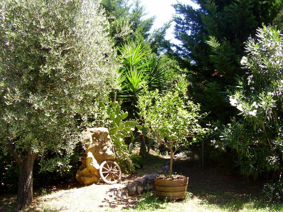 Podere Belvedere Cecina Чечина Екстер'єр фото