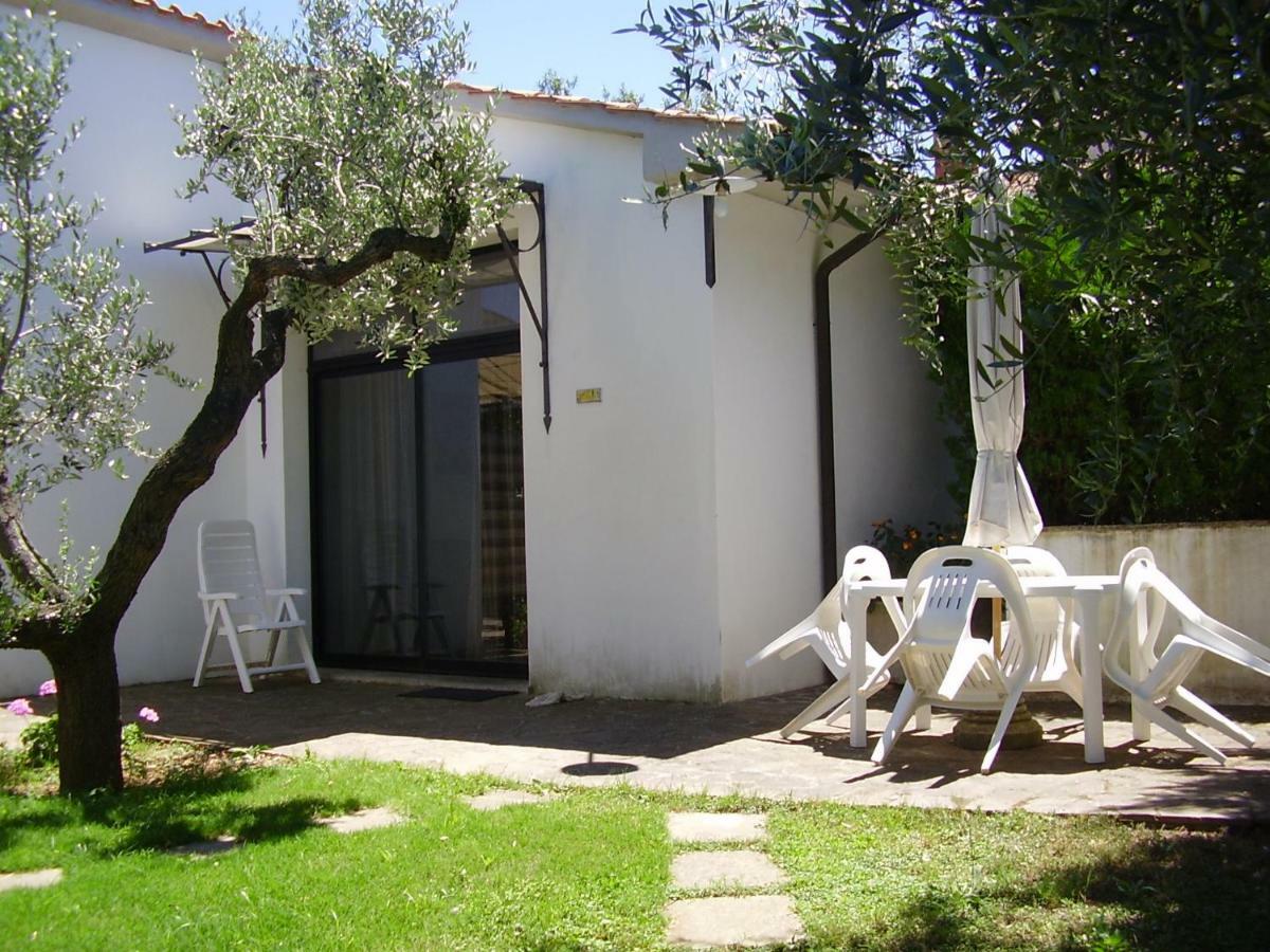 Podere Belvedere Cecina Чечина Екстер'єр фото
