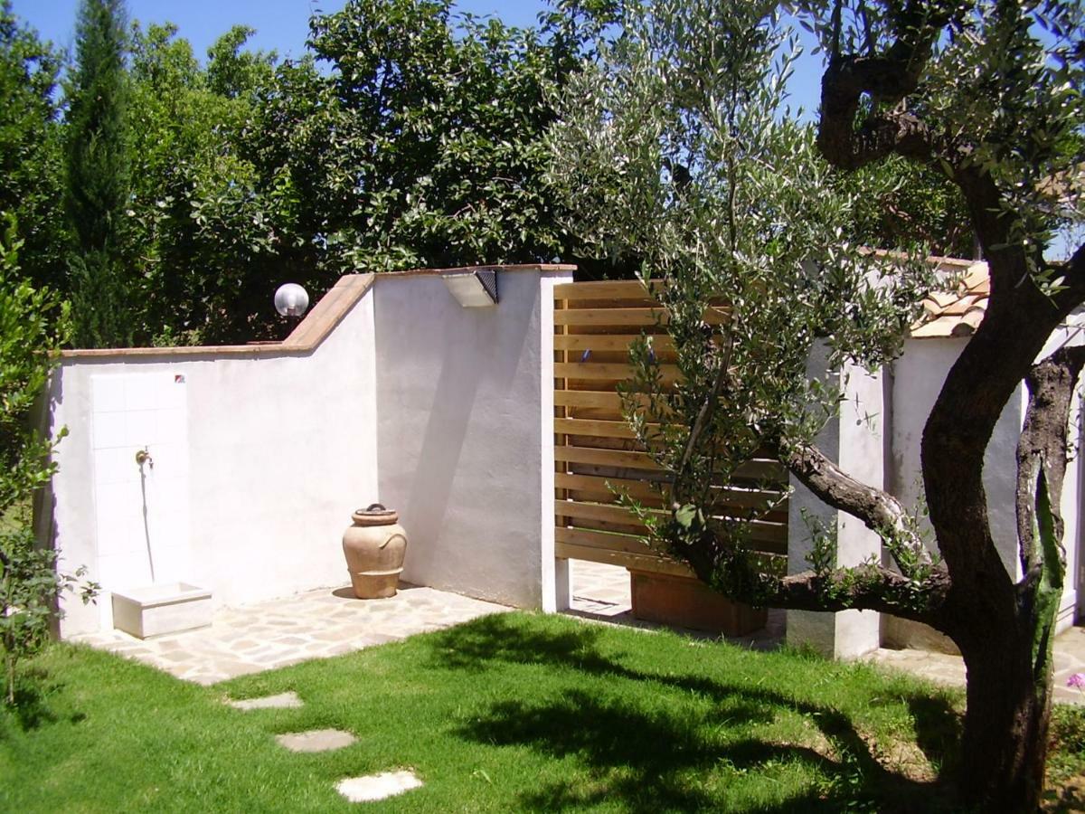 Podere Belvedere Cecina Чечина Екстер'єр фото