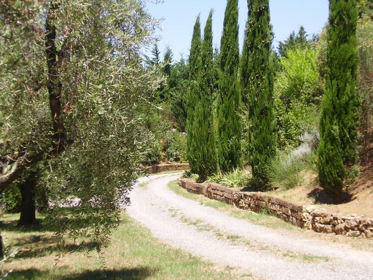 Podere Belvedere Cecina Чечина Екстер'єр фото