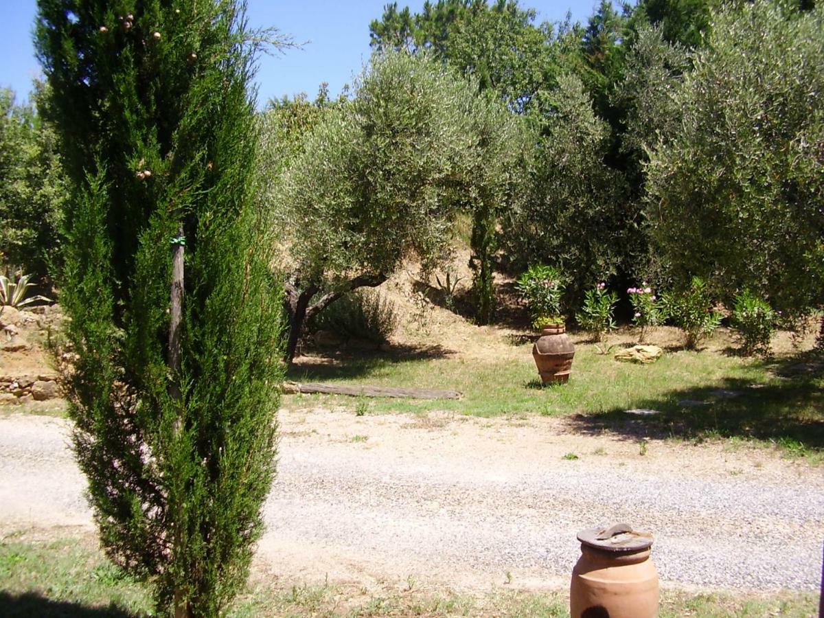 Podere Belvedere Cecina Чечина Екстер'єр фото
