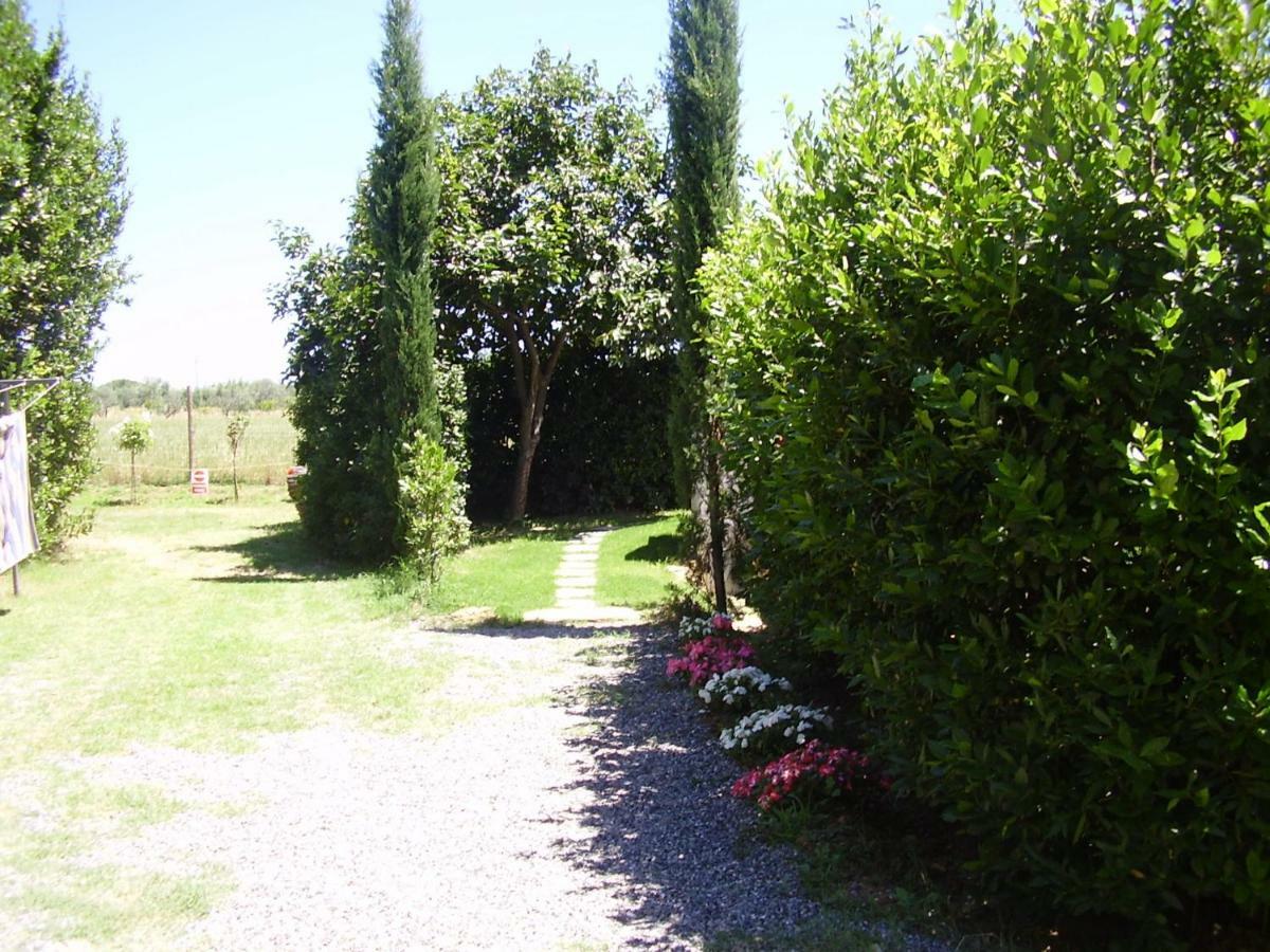 Podere Belvedere Cecina Чечина Екстер'єр фото